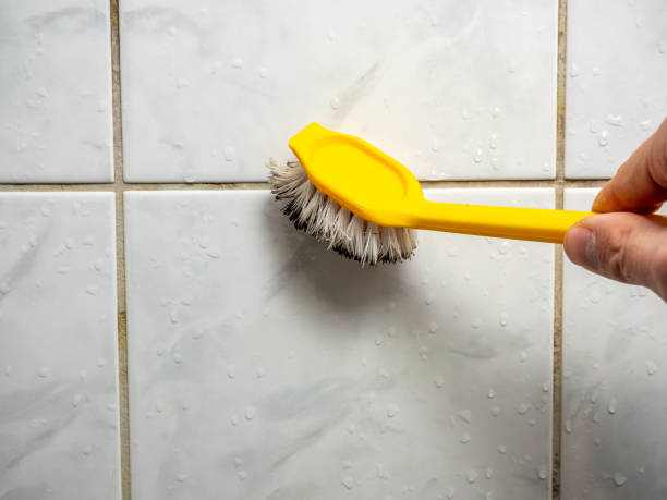 Best Emergency Mold Remediation in Bluefield, VA