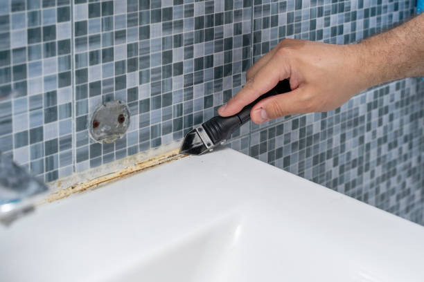 Best Post-Flood Mold Remediation in Bluefield, VA